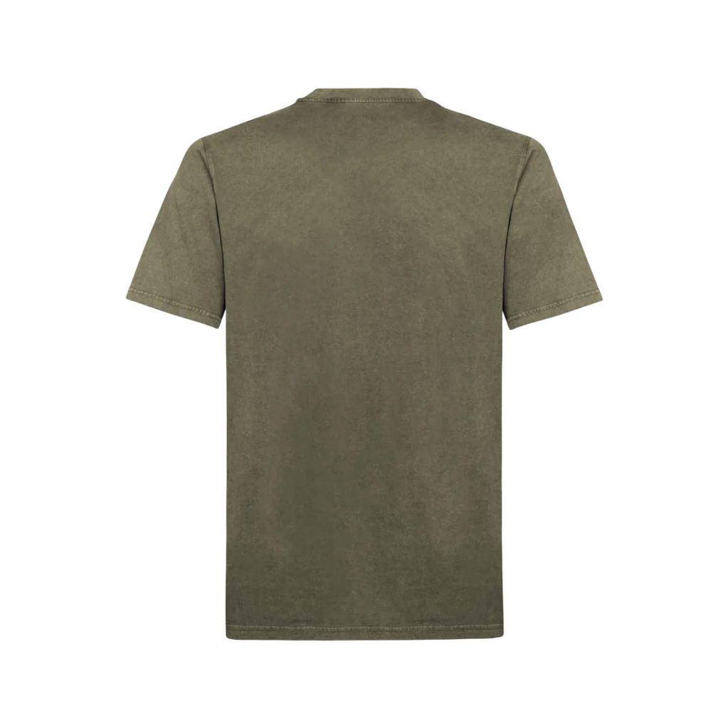 GITNSV2OliveBack.png
